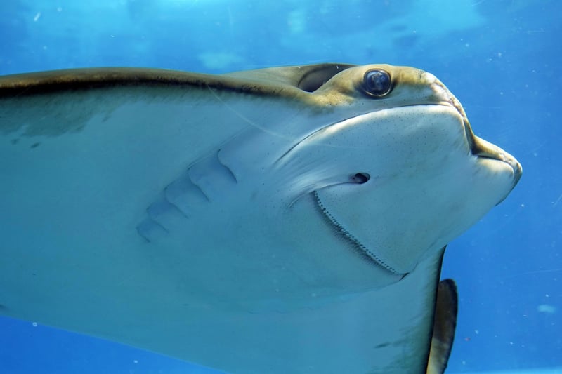 Underwater Paradises
